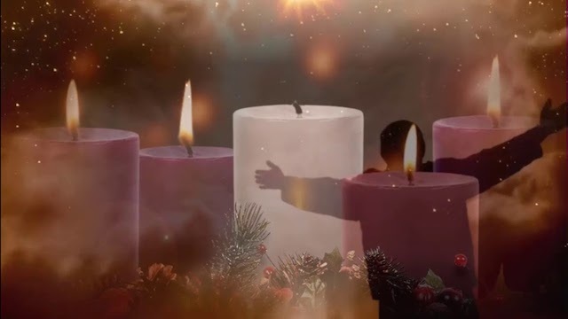 Vayan a contar lo que ven y oyen